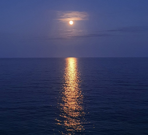 [ANNULÉ] Songe d'une nuit d'été